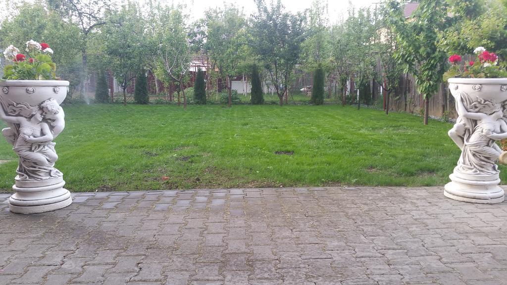 Family Pension Арад Екстер'єр фото